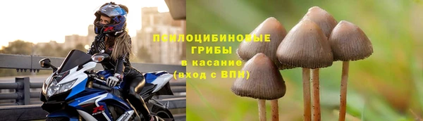 бошки Абаза