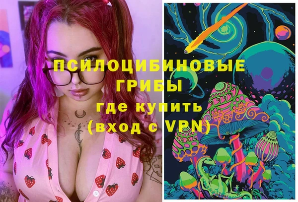 прущие грибы Алексеевка