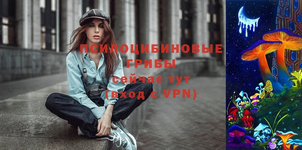 бошки Абаза