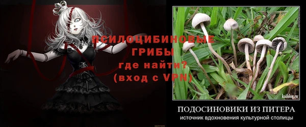 герыч Абинск