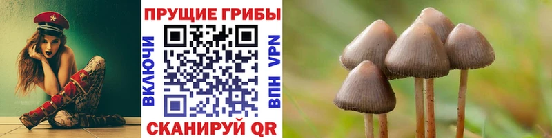 Галлюциногенные грибы мицелий Тюмень
